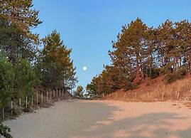 Relax Cozy Dirkshorn Stay