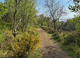 Relax Cozy Dirkshorn Stay