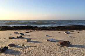 Ferienhaus Kleine Freiheit auf Fehmarn