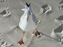 Cosy Apartment With Terrace Near Beach