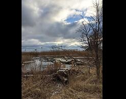 Chalet in Wendorf im Schlossresort