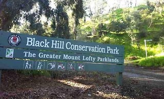 Hectorville Luxe Haven Suite