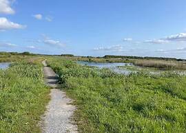 Spacious 4-person Bungalow Near the Frisian Lakes