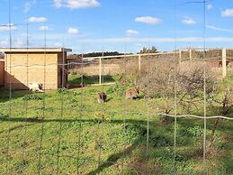 Cabin in Camping Resort With Activities