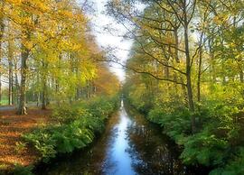 Lovely Villa in the Middle of Nature