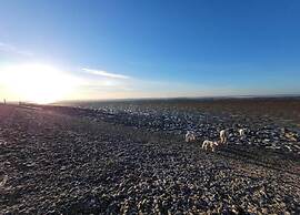 Lovely Villa in the Middle of Nature