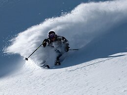 Cosy, Modern Canadian Wooden Chalet