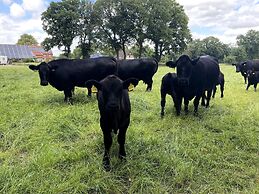 Ferienwohnung in Strackholt