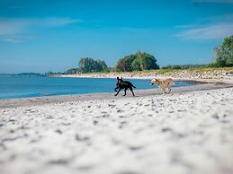 Ferienhaus im Ostseeresort Dampland