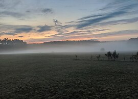 Ferienhaus in Mecklenburg-vorpommern mit Tropenpool & Spa