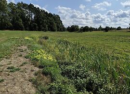 Ferienhaus in Mecklenburg-vorpommern mit Tropenpool & Spa