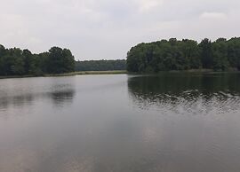 Ferienhaus in Mecklenburg-vorpommern mit Tropenpool & Spa