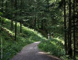 Cosy Flat in Meribel Close to the ski Lifts