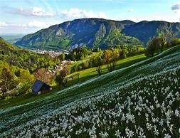 Cosy Flat in Meribel Close to the ski Lifts
