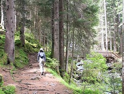 Cosy Flat in Meribel Close to the ski Lifts