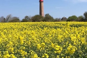 Ferienwohnung Sturmeck, Fehmarn-orth