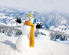 Cosy Chalet With Sauna