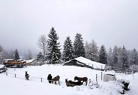 Chalet Verrel Near Aletsch Ski Gondolas