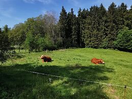 Cozy Apartment Near the Forest in Mark
