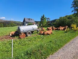 Cozy Apartment Near the Forest in Mark