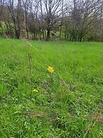 Cozy Apartment Near the Forest in Mark