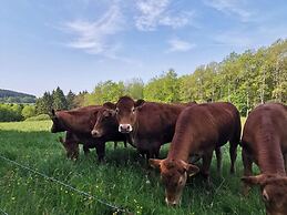 Cozy Apartment Near the Forest in Mark