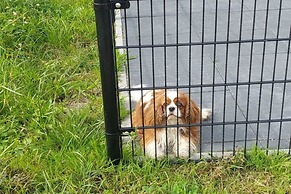 Rural House in a Park Near Molenschot