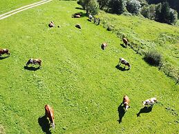 Holiday Flat With National Park Card Included