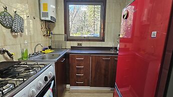 Oceana Suites Corralco