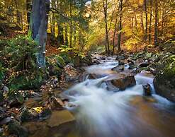 Ferienwohnung Haus am Berg, Lonau