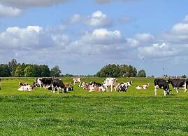 Lakeside Bliss in Friesland