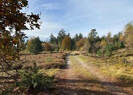 Cottage in Leenderbos Near Nature Reserve