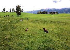 400 Year old Rustic House