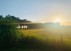 Cozy Holiday Home in a Lovely Environment