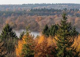 Cozy Holiday Home in a Lovely Environment