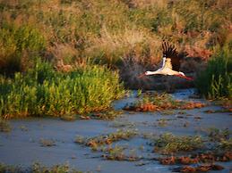 Familienferienwohnung auf Urigem Ferienhof