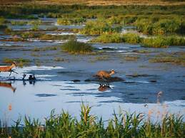 Familienferienwohnung auf Urigem Ferienhof