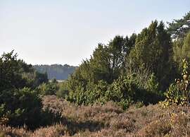 Stay at This Beautiful Accommodation in De Kiel