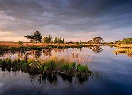 Stay at This Beautiful Accommodation in De Kiel