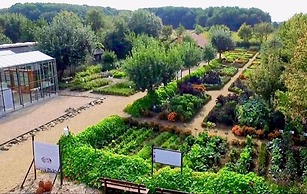 Apartment in Netherlands Near Dusseldorf