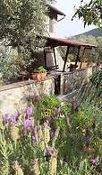 Spacious Cottage in Buti