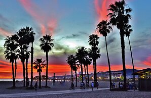 Hollywood Dream Remodeled Pool & Jacuzzi