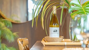 Gyeongju Planb pet Pension