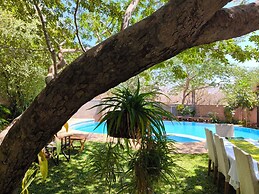 Room in Lodge - Luxury Suite in Zambezi Boutique Lodge 5