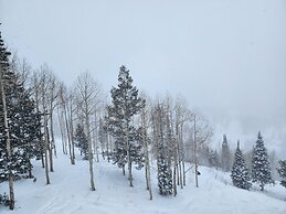 Villa 1041 3 Bed 3 Bath Full Kitchen 3 Bedroom Villa