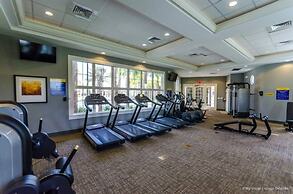 Little Mermaid Theme Bed Luxury 5 Bed Pool Home! 5 Bedroom Villa