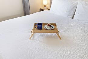 Little Sea #1 - Tortuga di Lama