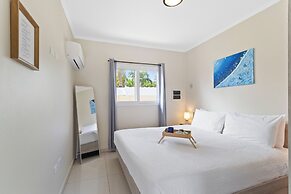 Little Sea #1 - Tortuga di Lama