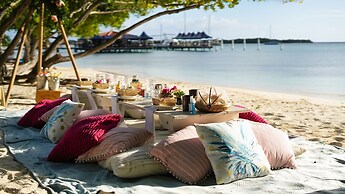 Little Paradise #4 - Blenchi