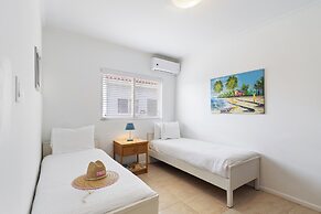 Little Paradise #6 - Trupial